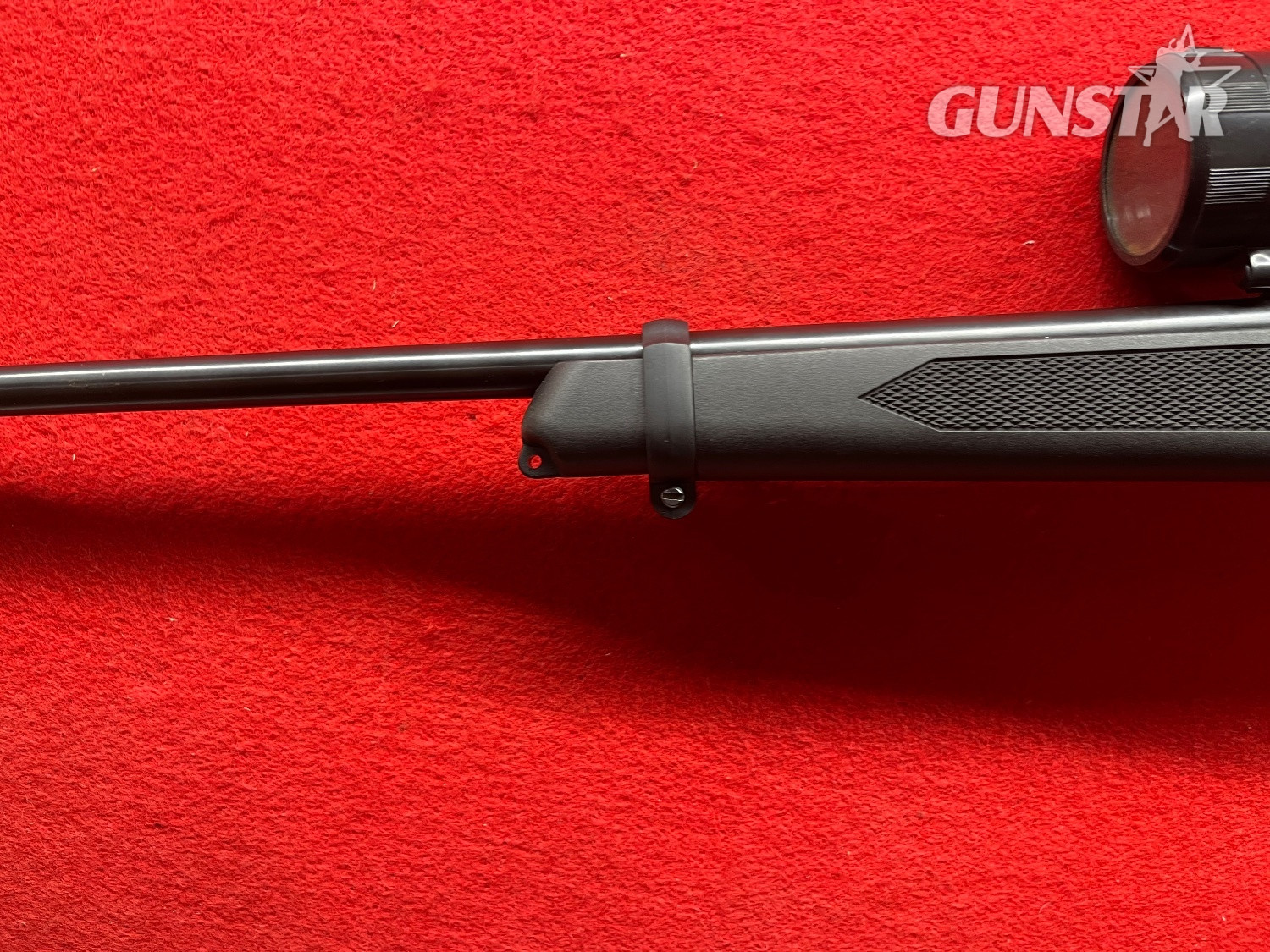 {CATEGORY} - Ruger 10/22 Semi-Auto .22 RF Rifle in 
