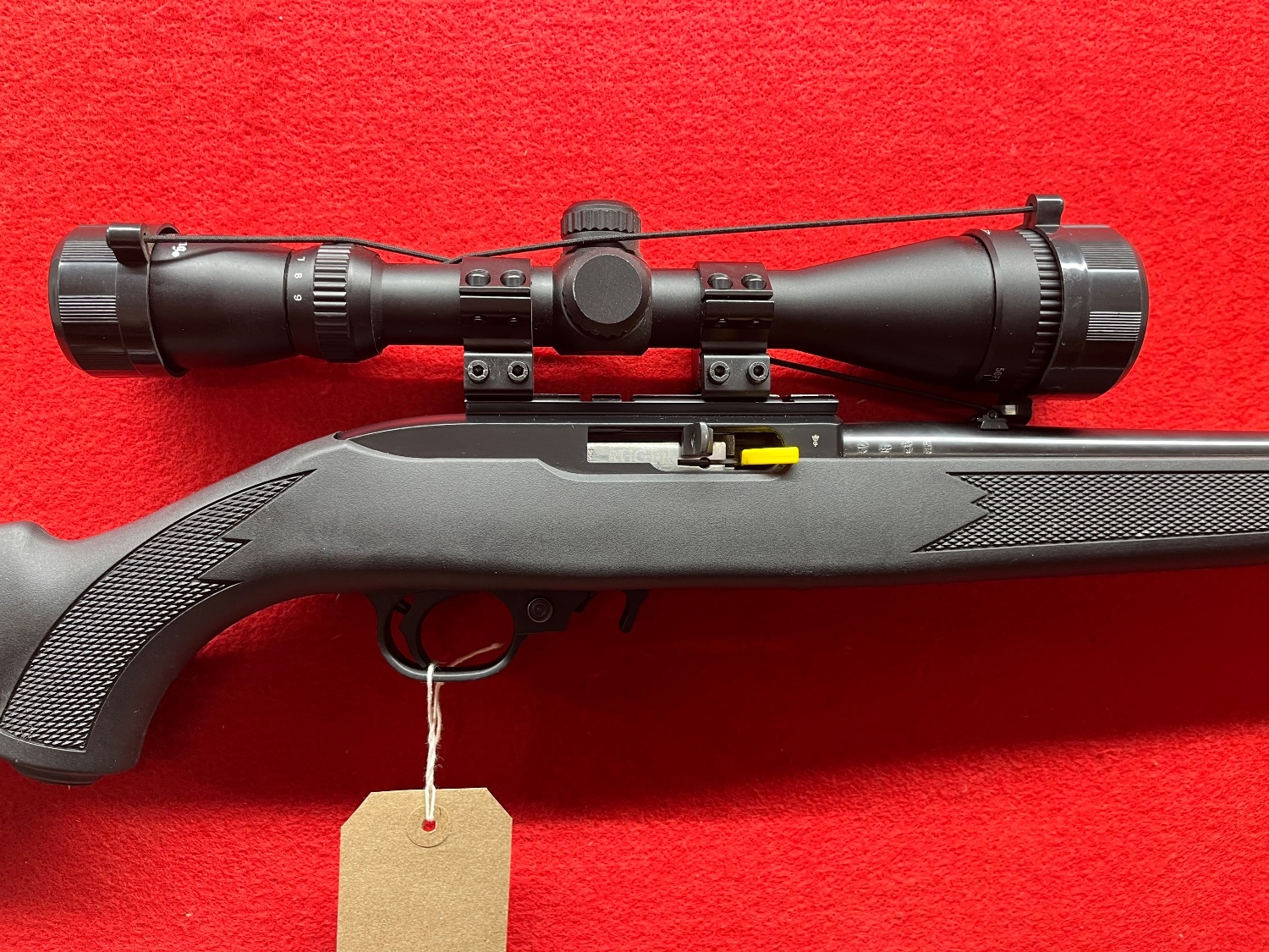Ruger 10/22 Semi-Auto .22 RF Rifle