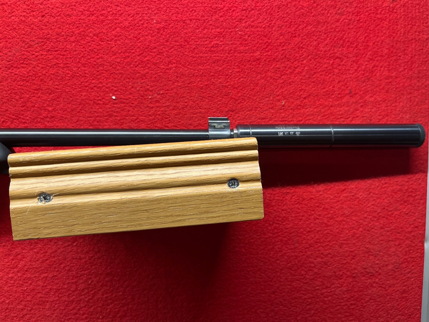 Ruger 10/22 Semi-Auto .22 RF Rifle - {CATEGORY} in 