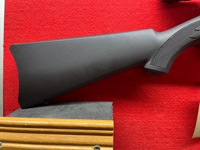 Ruger 10/22 Semi-Auto .22 RF Rifle