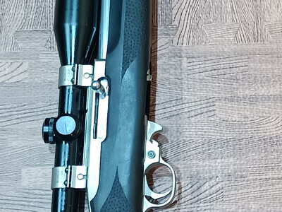 Ruger 10/22 Semi-Auto .22 Long Rifle (.22 LR) Rifle