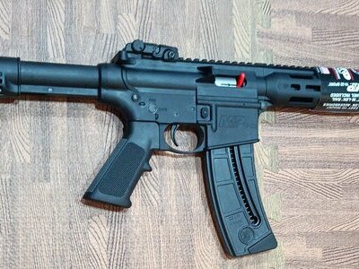 Smith & Wesson M&P Semi-Auto .22 Long Rifle (.22 LR) Rifle
