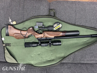 BSA R10 .22