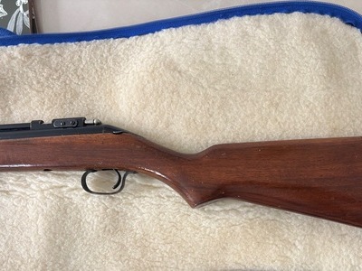 Sheridan black streak .20