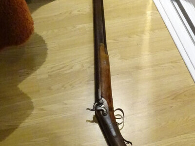 Hast & Company Shotgun Muzzleloader 4 Gauge