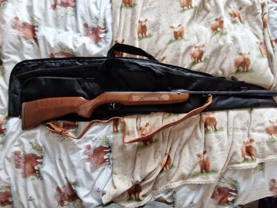 Weihrauch HW99 S .22