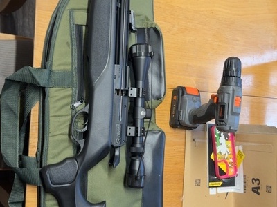 Gamo Arrow .22