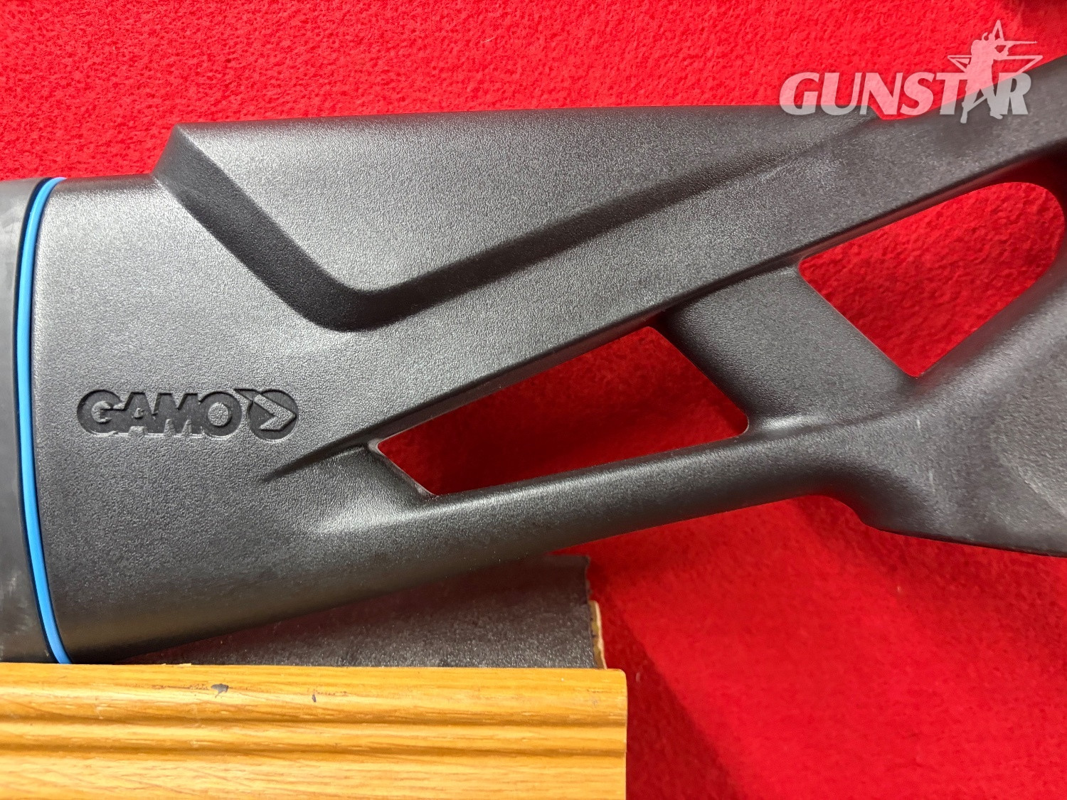 Gamo Whisper Swarm .22 in 