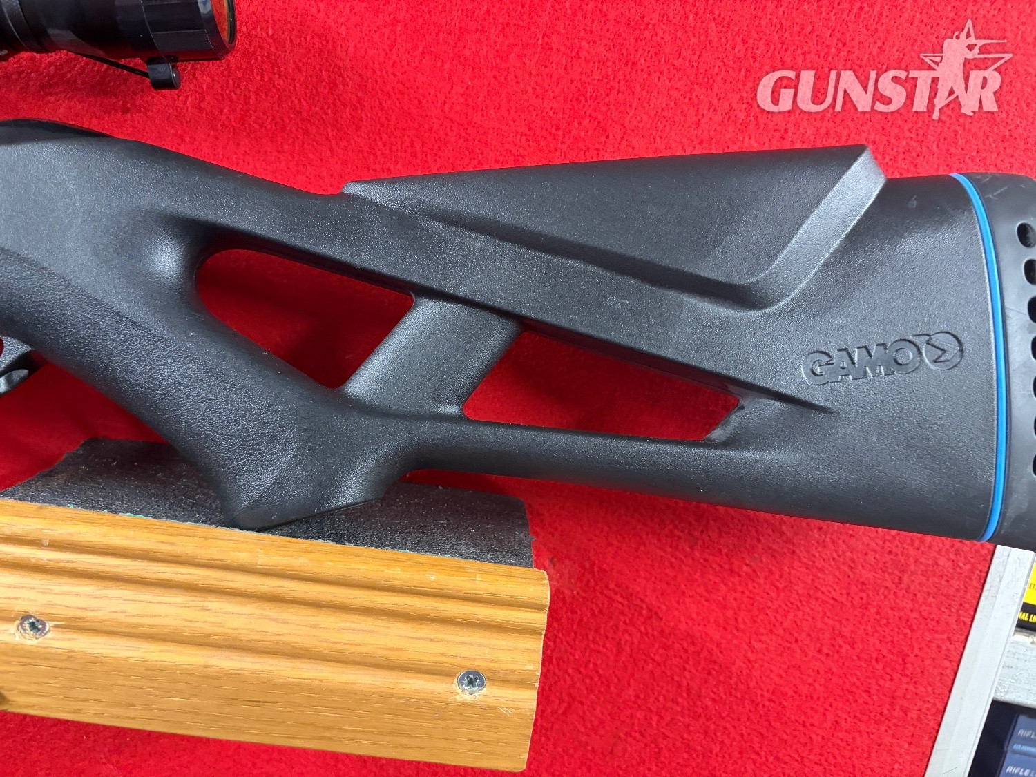 {CATEGORY} - Gamo Whisper Swarm .22 in 