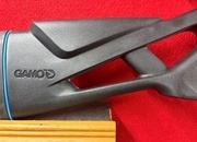 Gamo Whisper Swarm .22