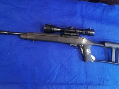 Ruger 10/22 Semi-Auto .22 LR Rifle