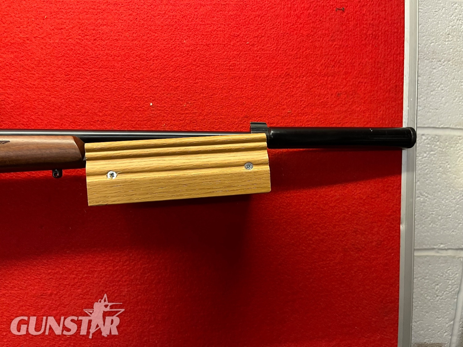 Ruger 10/22 Bolt Action .22 Long Rifle (.22 LR) Rifle - {CATEGORY} in 