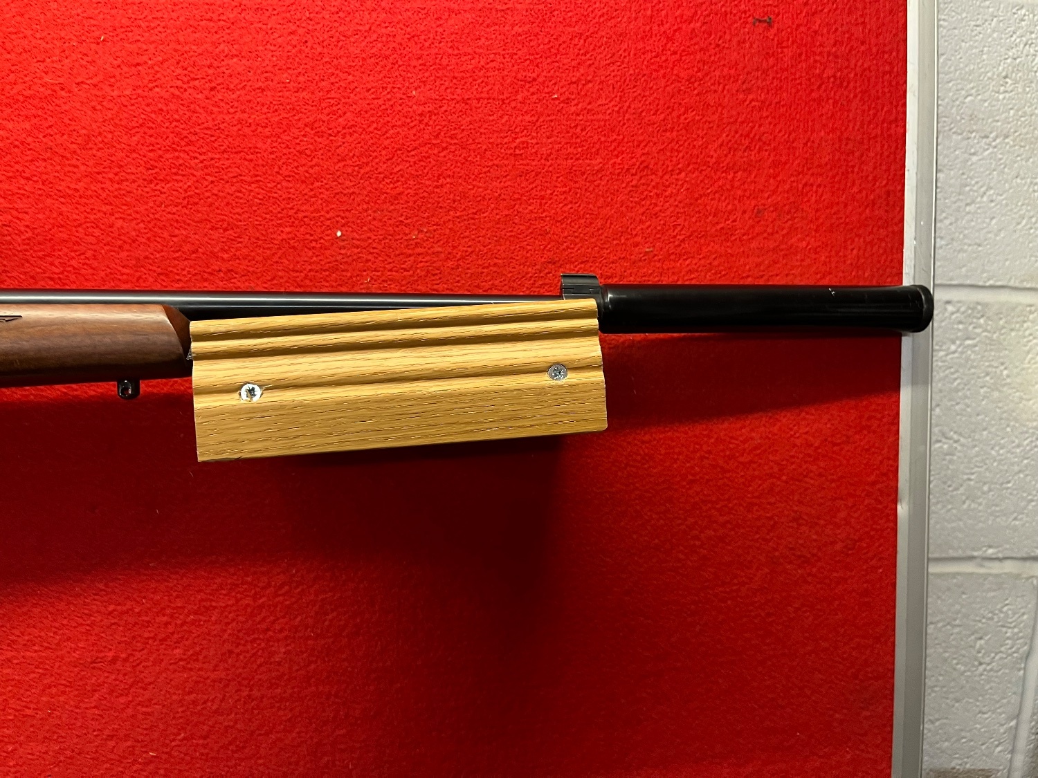 Ruger 10/22 Bolt Action .22 Long Rifle (.22 LR) Rifle - {CATEGORY} in 