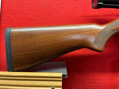 Ruger 10-22 Bolt Action .22 LR Rifle