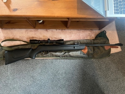 Gamo Shadow 1000 .22