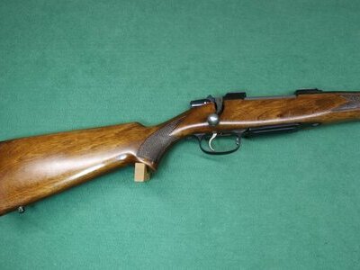 CZ CZ 550 American Bolt Action .243 Rifle