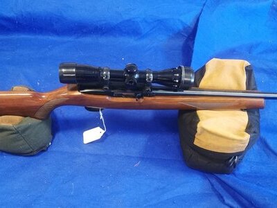 Ruger 10/22 Semi-Auto .22 LR Rifle