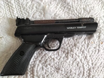 Webley & Scott Tempest .177