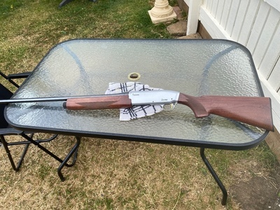 Browning B725 HTG Medallion Silver Semi-Auto 12 Bore/gauge