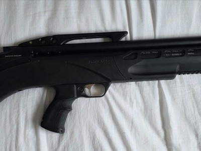 Daystate Renegade .22