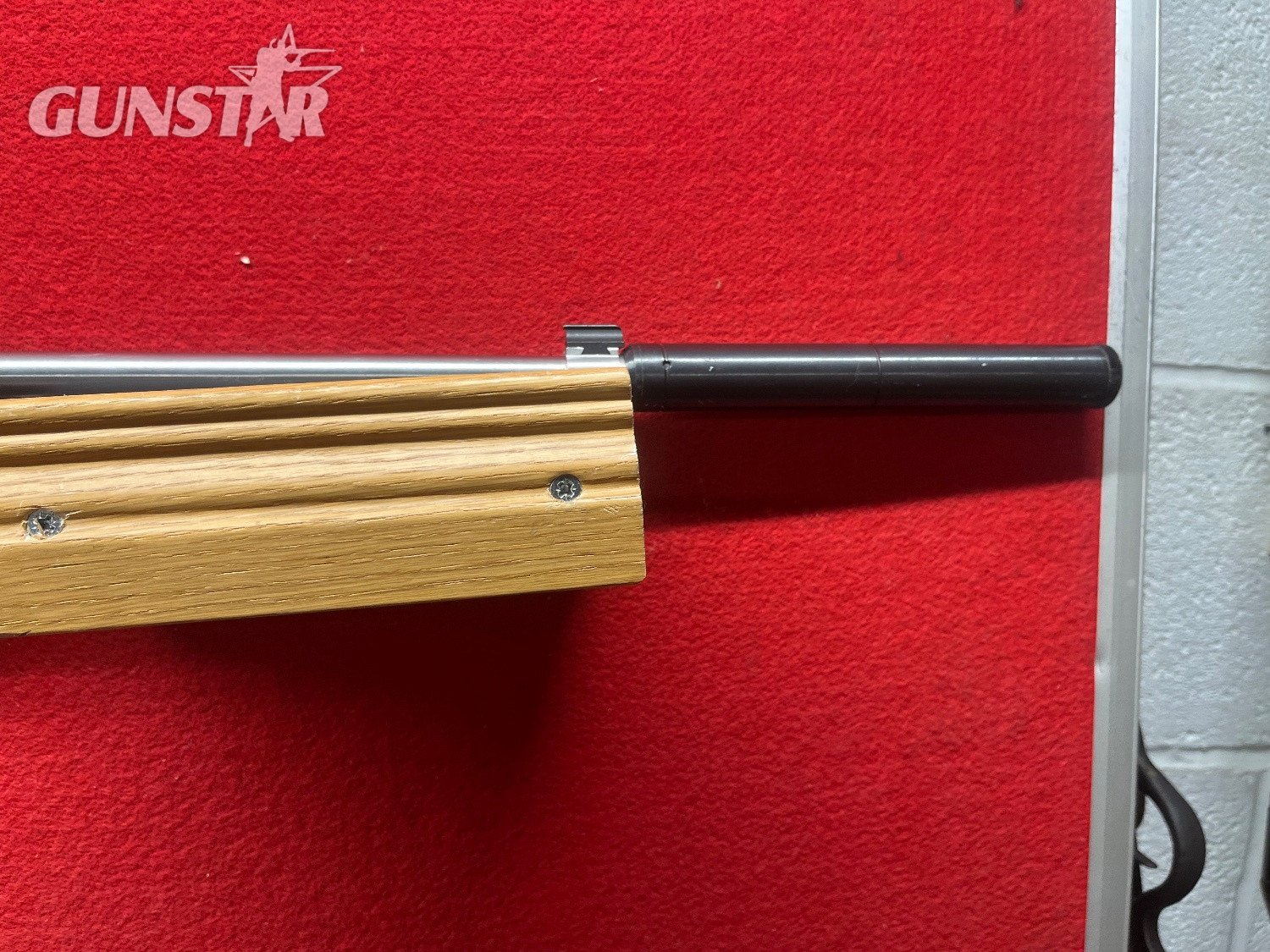Ruger 10/22 Semi-Auto .22 Long Rifle (.22 LR) Rifle - {CATEGORY} in 