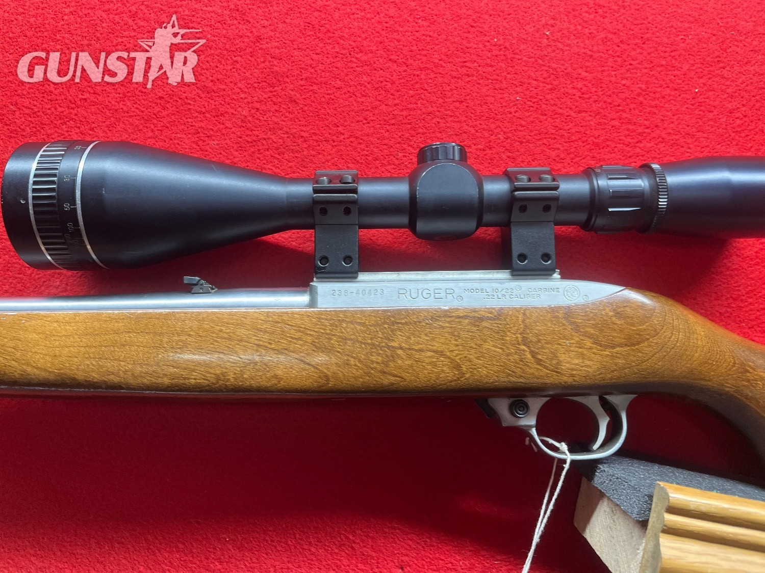 Ruger 10/22 Semi-Auto .22 Long Rifle (.22 LR) Rifle 