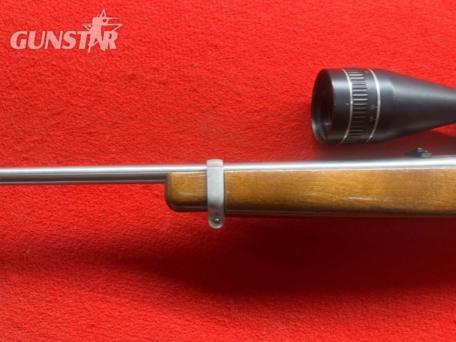 {CATEGORY} - Ruger 10/22 Semi-Auto .22 Long Rifle (.22 LR) Rifle in 