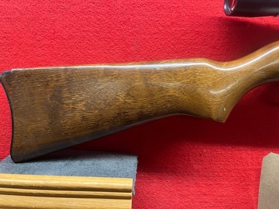 Ruger 10/22 Semi-Auto .22 Long Rifle (.22 LR) Rifle