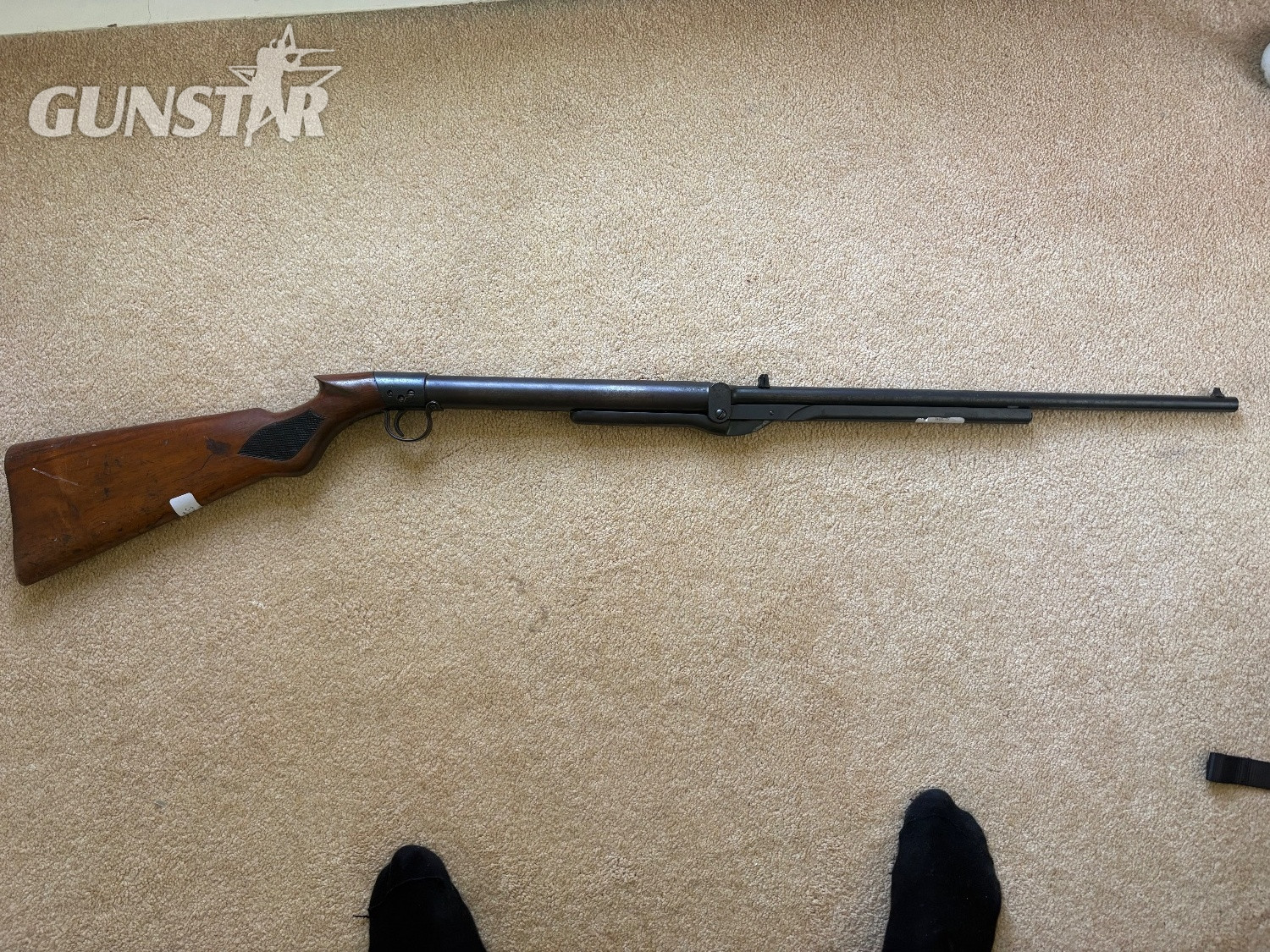 BSA Standard .22