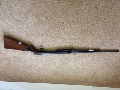 BSA Standard .22