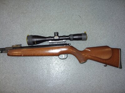 Webley / Webley & Scott Omega MK1 .22