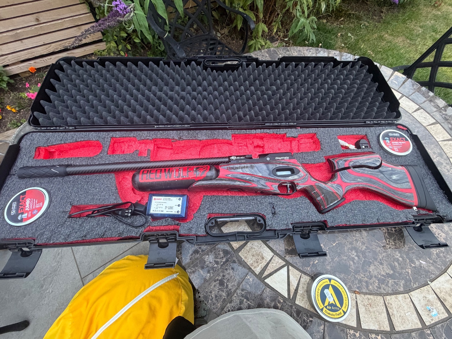 Daystate Red Wolf .22