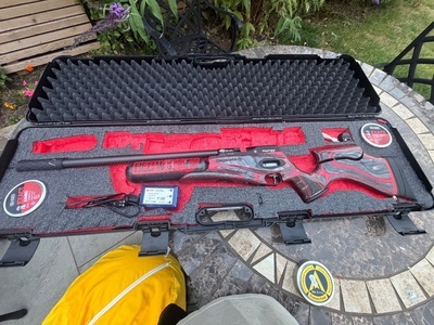 Daystate Red Wolf .22