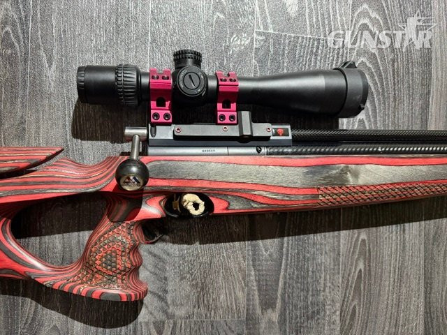  Air Arms S410 Custom .22