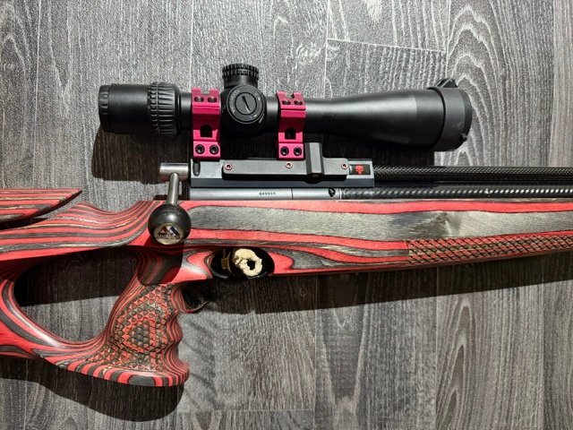  Air Arms S410 Custom .22