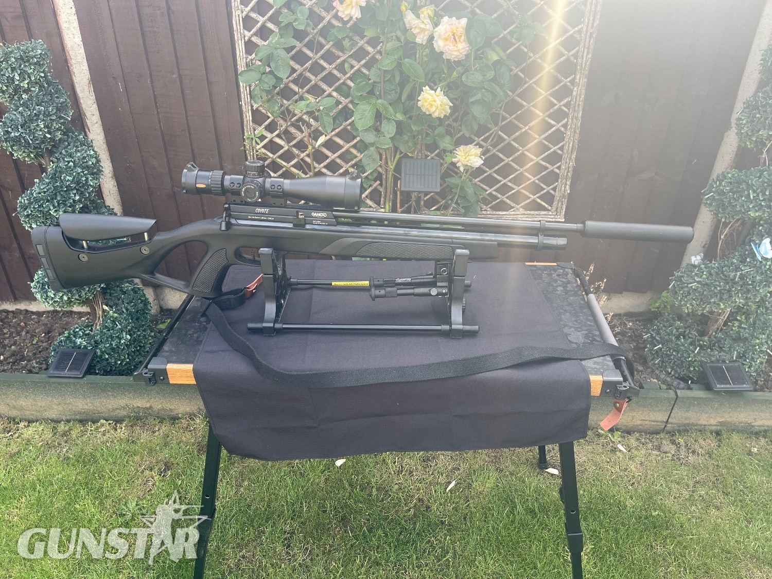  Gamo Coyote .177