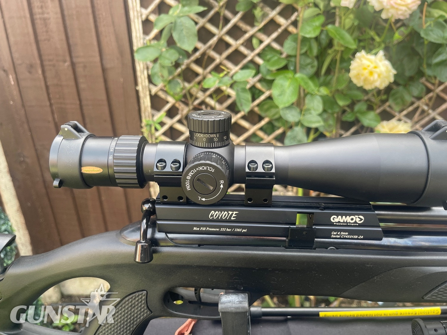 {CATEGORY} - Gamo Coyote .177