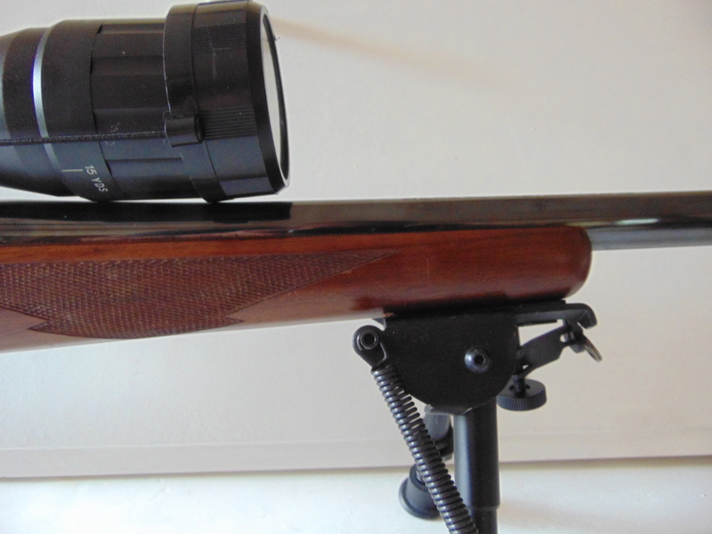 Ruger M77 Bolt Action 22-250 Rem Rifle - {CATEGORY} in 