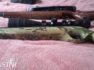 BSA Scorpion SE Multishot .22