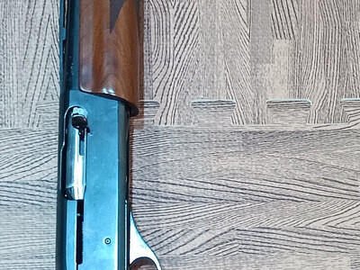 Remington Model 1100 Semi-Auto 20 Bore/gauge