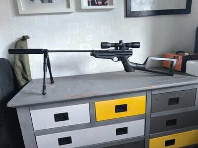 Crosman 2250 XL Ratcatcher .22