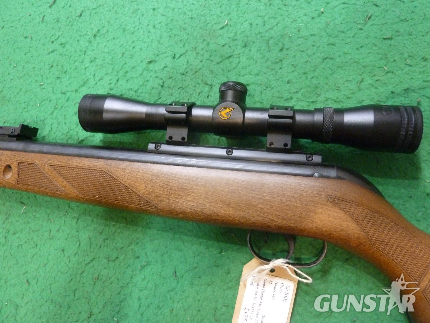 Gamo Hunter 440 .22