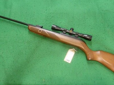 Gamo Hunter 440 .22