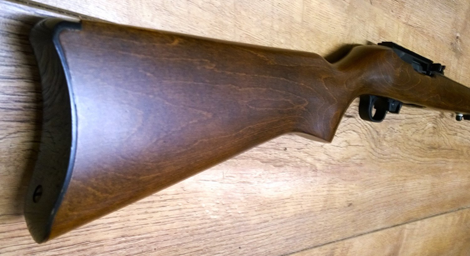 Ruger 10/22 Semi-Auto .22 RF Rifle