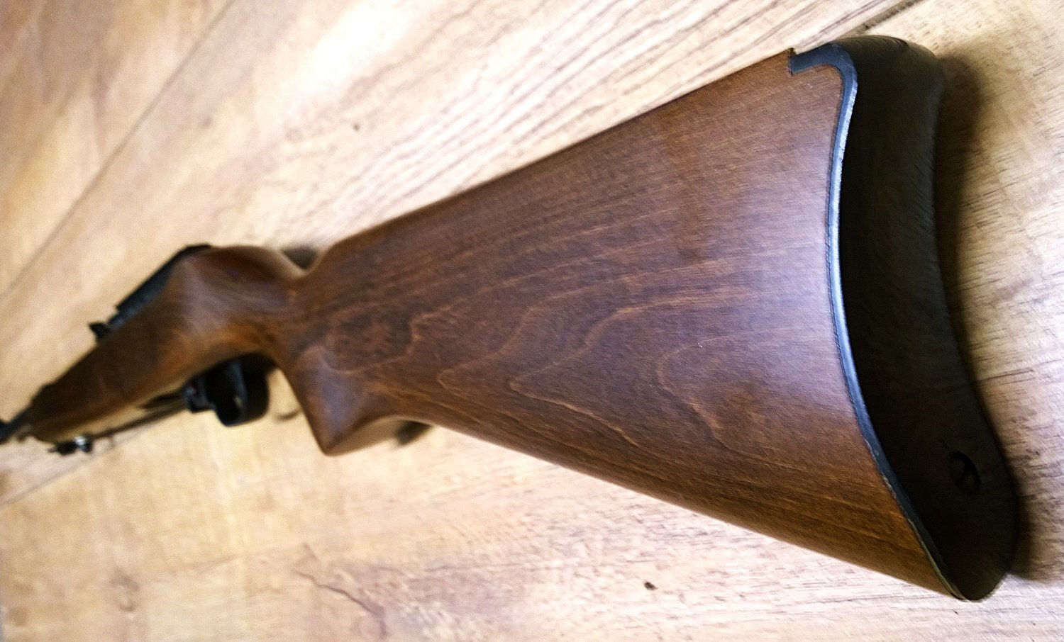 Ruger 10/22 Semi-Auto .22 RF Rifle - {CATEGORY} in 