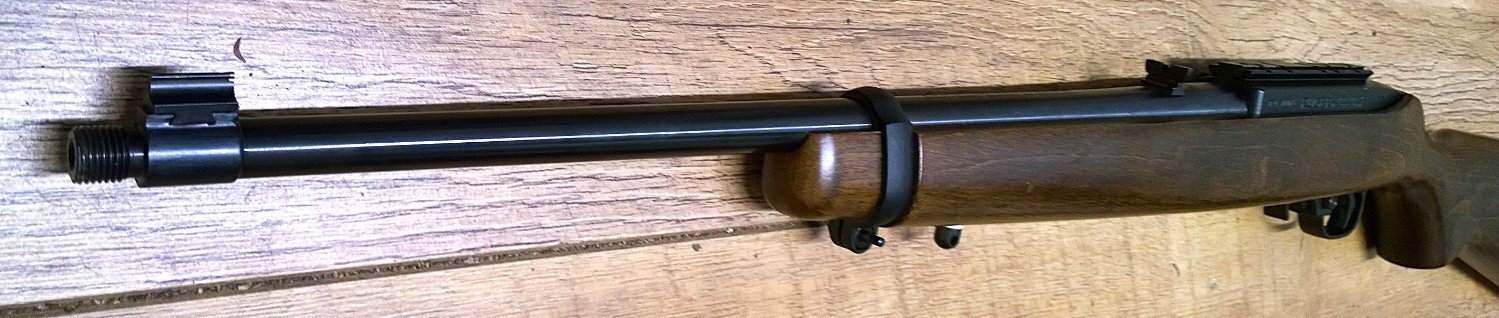 {CATEGORY} - Ruger 10/22 Semi-Auto .22 RF Rifle