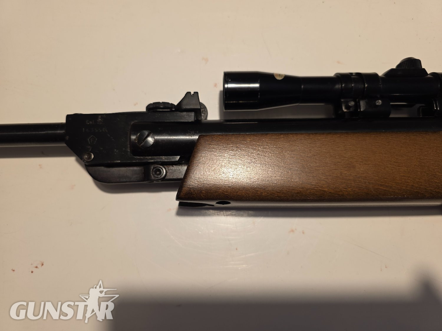 Gamo ASI Rangemaster .22 