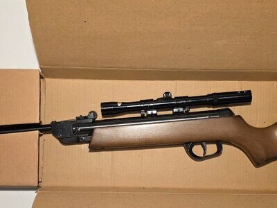 Gamo ASI Rangemaster .22