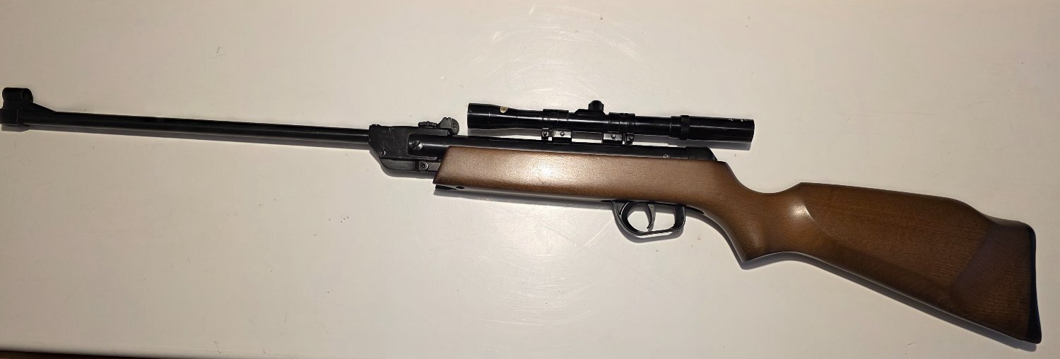 Gamo ASI Rangemaster .22