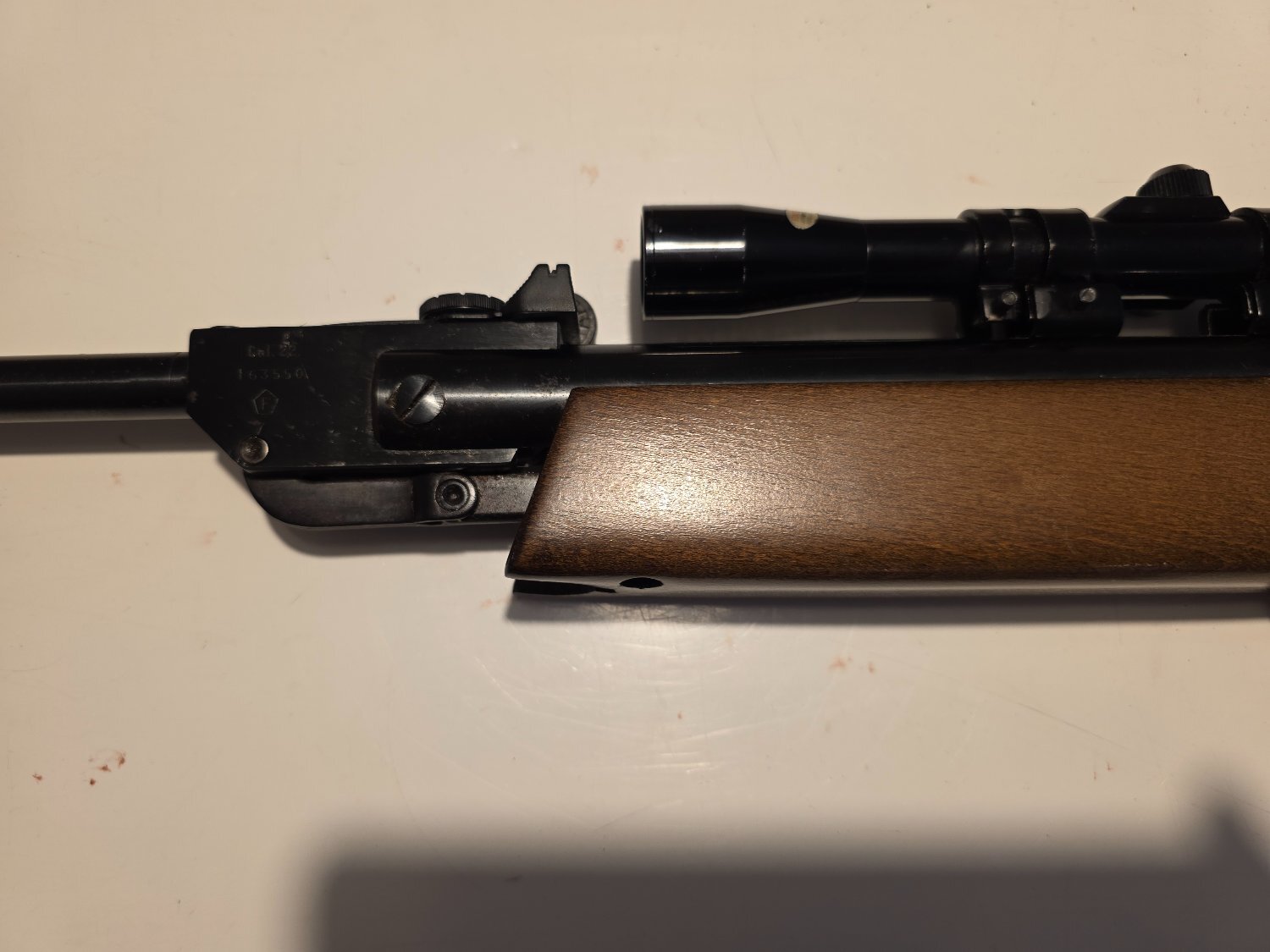 Gamo ASI Rangemaster .22 